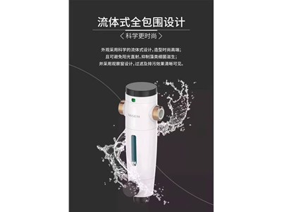 前置过滤器