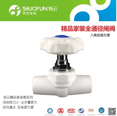 Full size gate valve